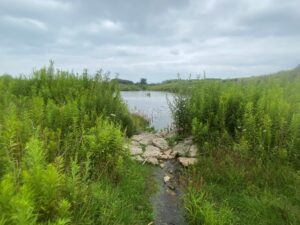 A small body of water in the distance. Surrounded by greenery and rocks. 