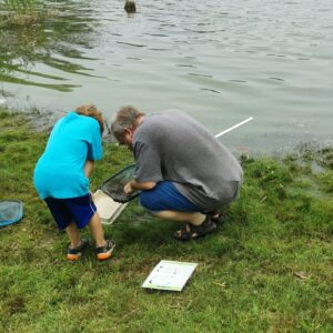 Man and child look at pond insects found using a dip net.