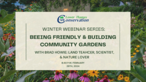 Winter Webinar Series:
Beeing Friendly & Building Community Gardens
with Bard Howie: Land Teacher, Scientist & Nature Lover
6:30 p.m. February 29th 2024

Background features a native plant garden.