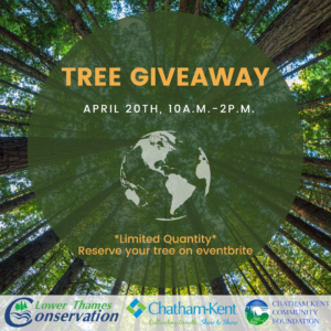Text overlaying a stand of trees. Tree Giveaway April 20th, 10 a.m. - 2 p.m. *Limited Quanitty* Reserve your tree on eventbrite Logos for the LTVCA, Chatham-Kent, and the Chatham Kent Community Foundation