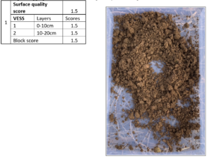 Quality score next to a soil sample.