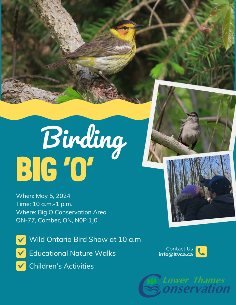 Nordomg Nog 'O' When May 5, 2024 Time: 10 a.m. - 1p.m. Where: Big O Conservation Area, On-88, Comber ON, N0P1J0 Wild Ontario Bird Show at 10 a.m. Educational Nature Walks Children's Activities Contact Us info@ltvca.ca