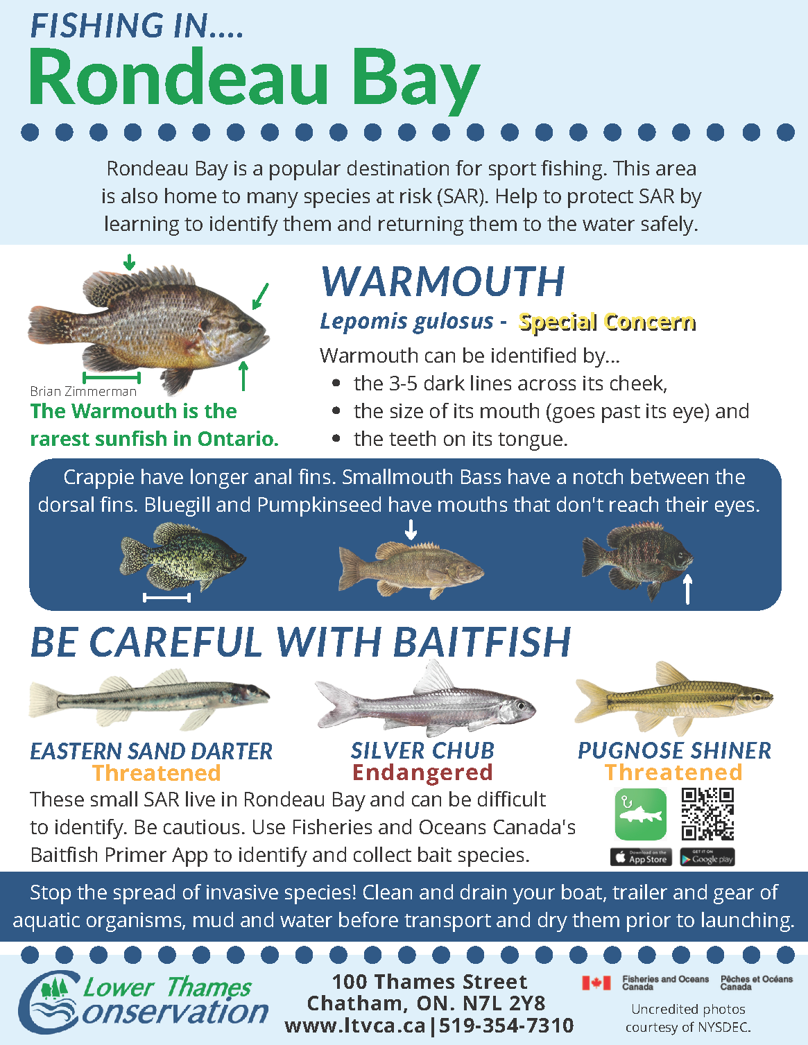 FishingInRondeauBayFlyer_FinalForWeb_Page_1