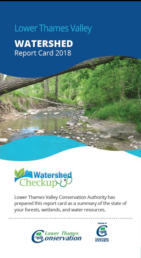 2018 Watershed Report Card Cover