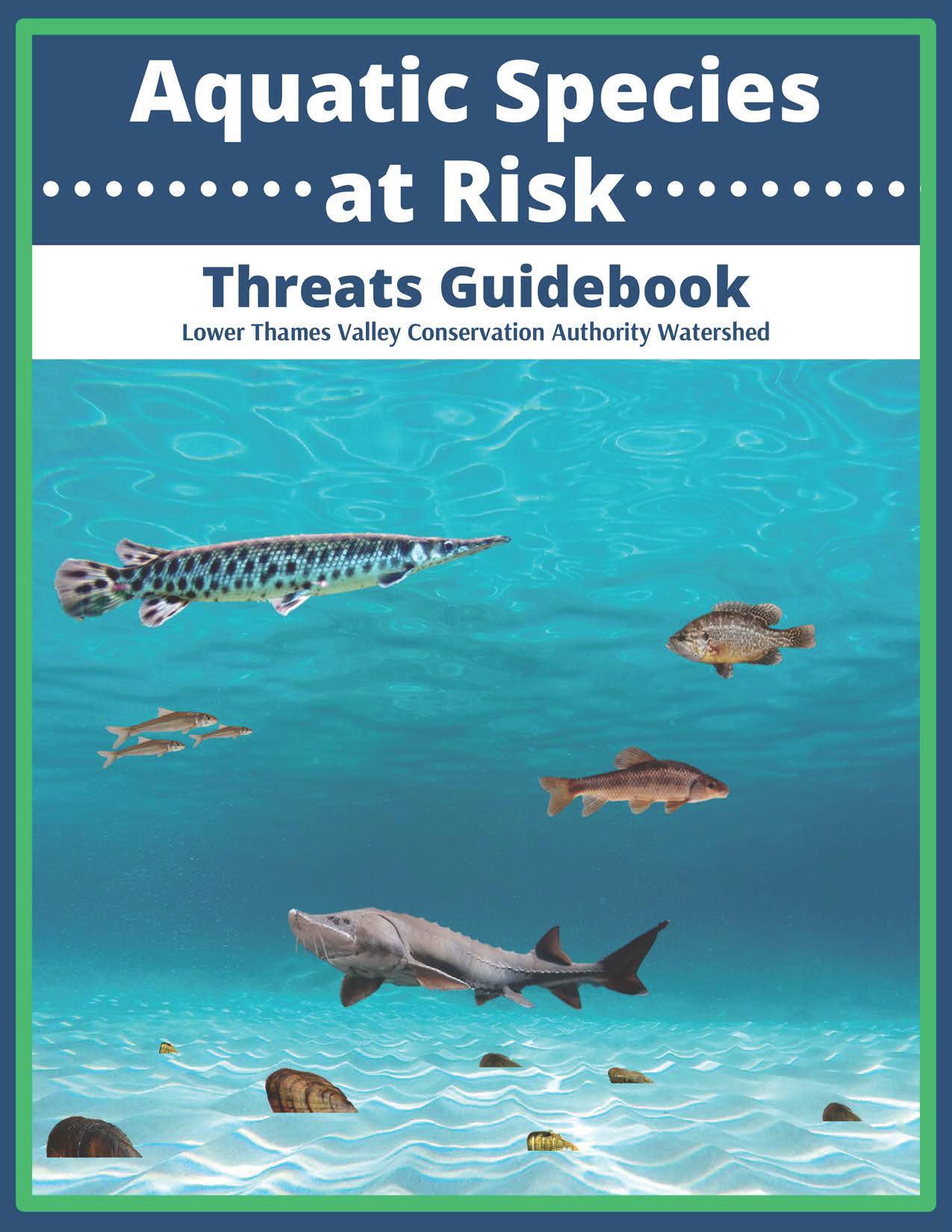 threats Guidebook_Page_01